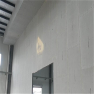 钟山宁波ALC板|EPS加气板隔墙与混凝土整浇联接的实验研讨